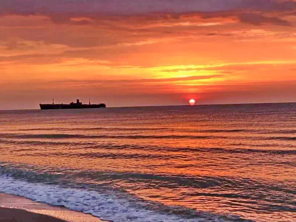 Costinești Cazare | Motel (K1338-29) Imaginea poate fi supusă drepturilor de autor. Se recomandă contactarea titularului drepturilor.