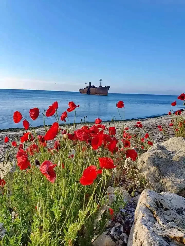  Szállás | Motel (K1338-31) A kép szerzői jogvédelem alatt állhat. Javasolt a kapcsolatfelvétel a jog tulajdonossal.