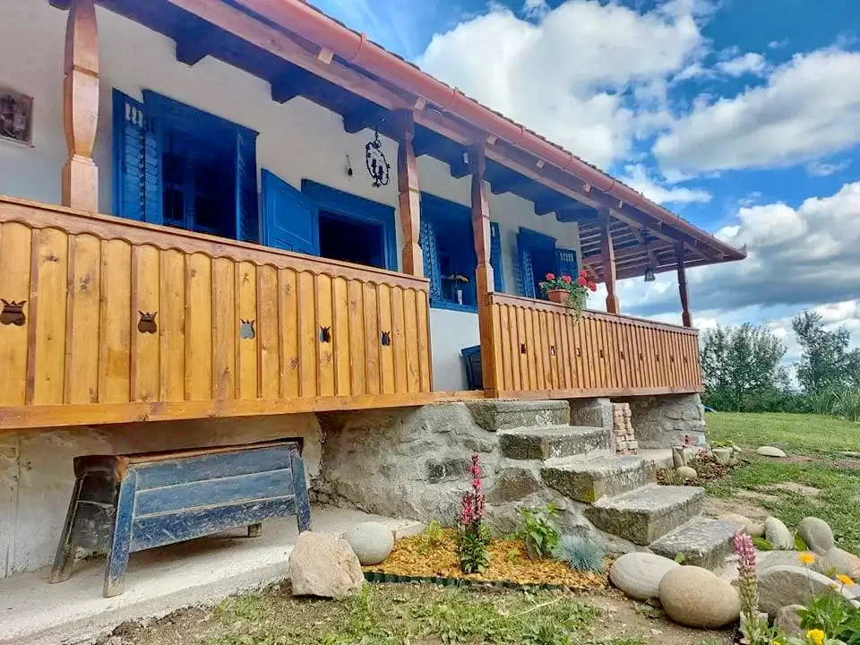 Șiclod Cazare | Hotel**** (K1362-16) Imaginea poate fi supusă drepturilor de autor. Se recomandă contactarea titularului drepturilor.