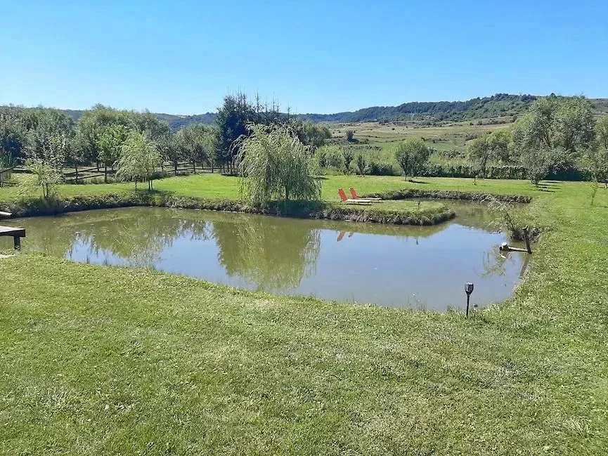 Felsősófalva Szállás | Üdülőfalu (K0638-20) A kép szerzői jogvédelem alatt állhat. Javasolt a kapcsolatfelvétel a jog tulajdonossal.