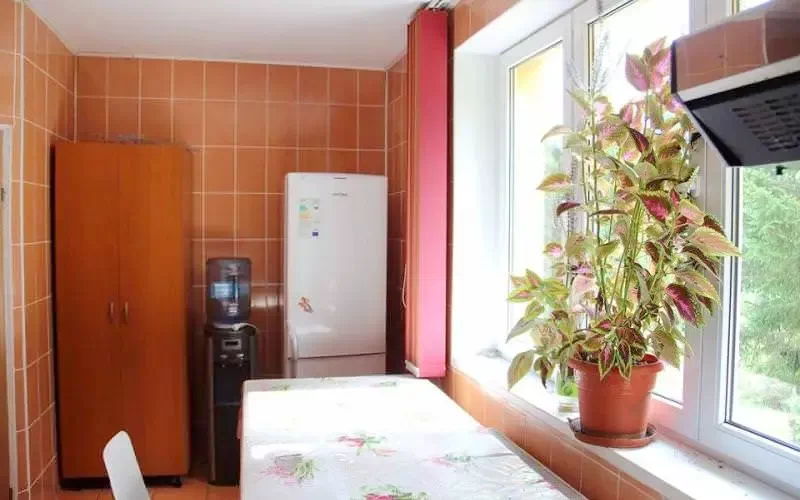 Balánbánya Szállás | Motel (K0134-7) A kép szerzői jogvédelem alatt állhat. Javasolt a kapcsolatfelvétel a jog tulajdonossal.