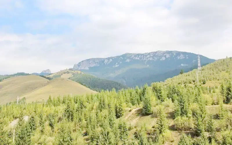 Bălan Cazare | Motel (K0134-17) Imaginea poate fi supusă drepturilor de autor. Se recomandă contactarea titularului drepturilor.