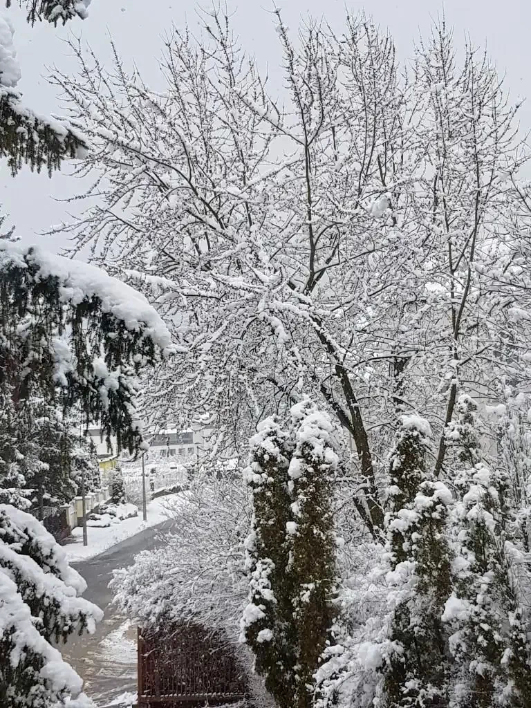 Mișcolț Cazare | Motel (K0530-21) Imaginea poate fi supusă drepturilor de autor. Se recomandă contactarea titularului drepturilor.