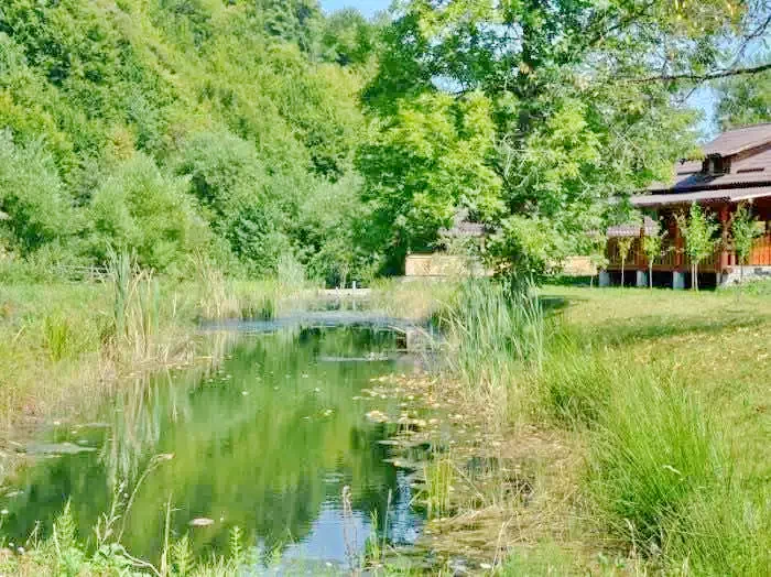 Valea Drăganului Cazare | Motel (K0705-50) Imaginea poate fi supusă drepturilor de autor. Se recomandă contactarea titularului drepturilor.