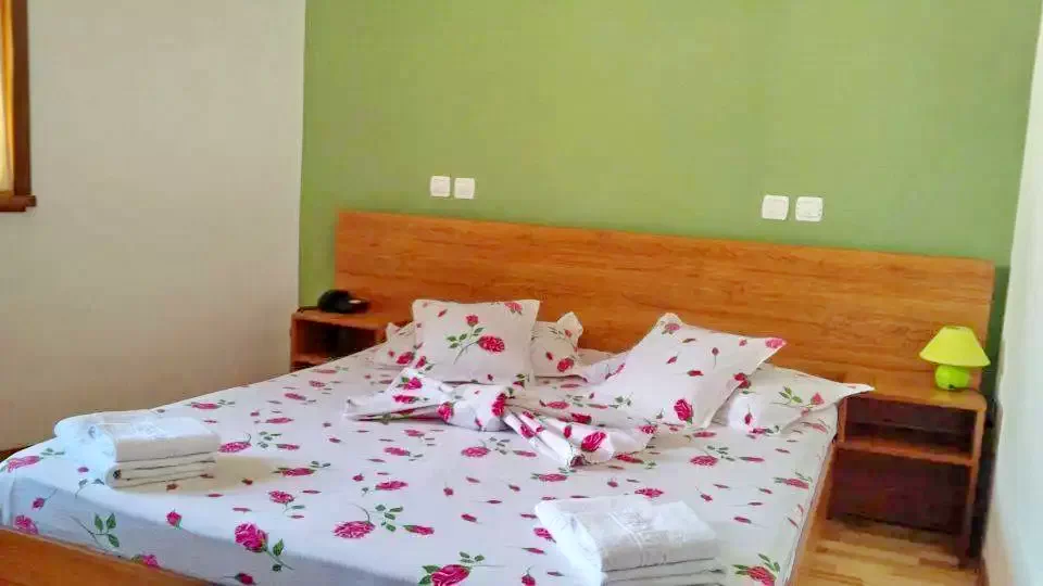 Tulcea Cazare | Pensiune turistică (K1309-31) Imaginea poate fi supusă drepturilor de autor. Se recomandă contactarea titularului drepturilor.