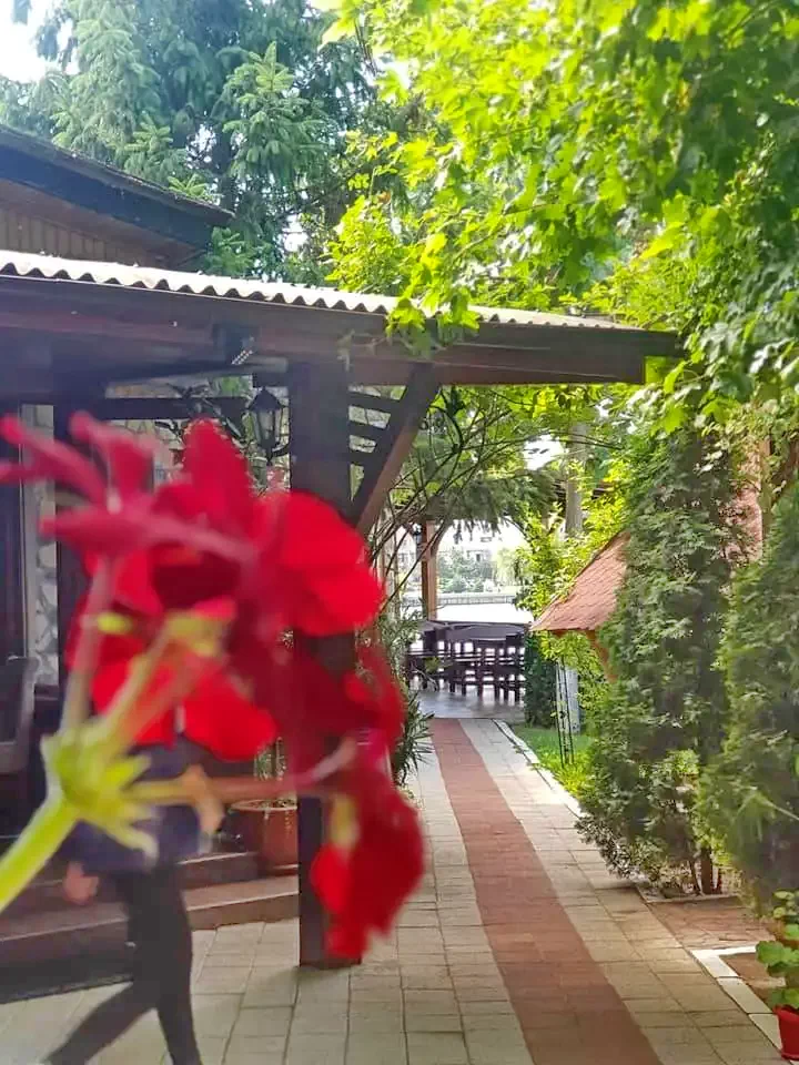 Tulcea Cazare | Pensiune turistică (K1309-43) Imaginea poate fi supusă drepturilor de autor. Se recomandă contactarea titularului drepturilor.