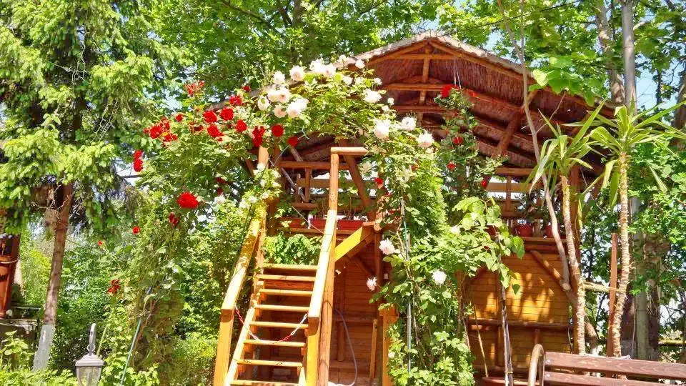 Tulcea Cazare | Pensiune turistică (K1309-46) Imaginea poate fi supusă drepturilor de autor. Se recomandă contactarea titularului drepturilor.