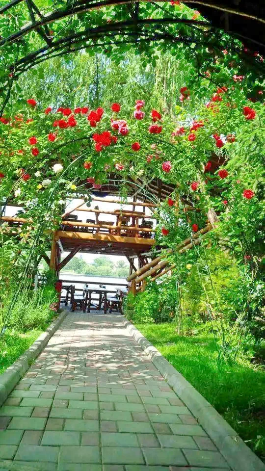 Tulcsa Szállás | Turisztikai panzió (K1309-48) A kép szerzői jogvédelem alatt állhat. Javasolt a kapcsolatfelvétel a jog tulajdonossal.