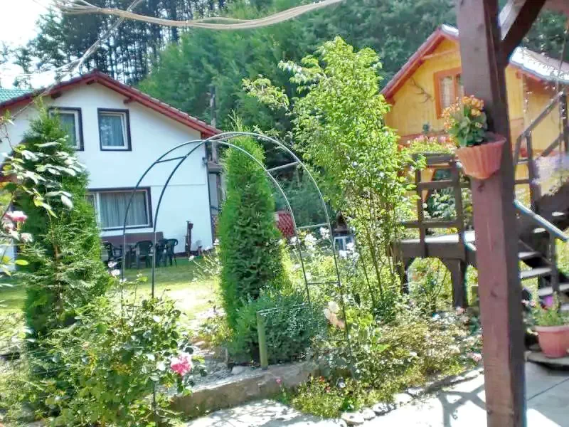 Cârțișoara Cazare | Motel (K0459-10) Imaginea poate fi supusă drepturilor de autor. Se recomandă contactarea titularului drepturilor.