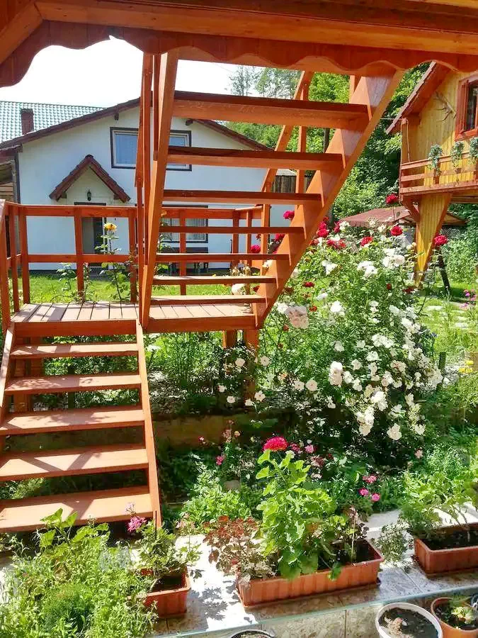 Cârțișoara Cazare | Motel (K0459-12) Imaginea poate fi supusă drepturilor de autor. Se recomandă contactarea titularului drepturilor.