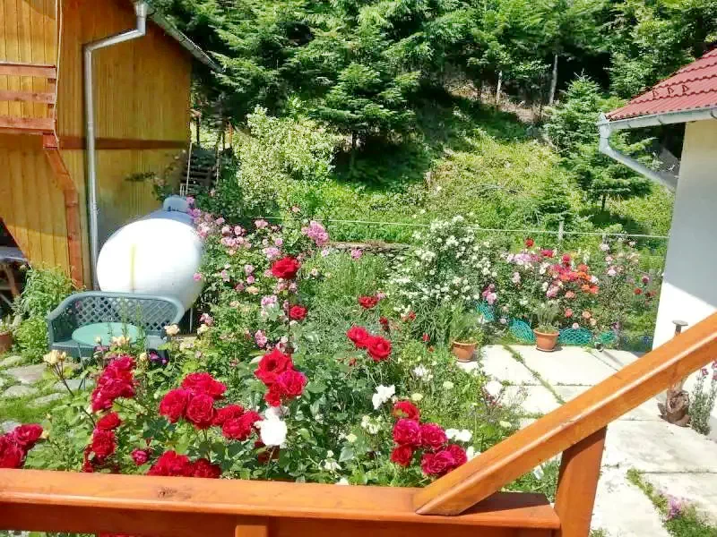 Kercisóra Szállás | Motel (K0459-13) A kép szerzői jogvédelem alatt állhat. Javasolt a kapcsolatfelvétel a jog tulajdonossal.