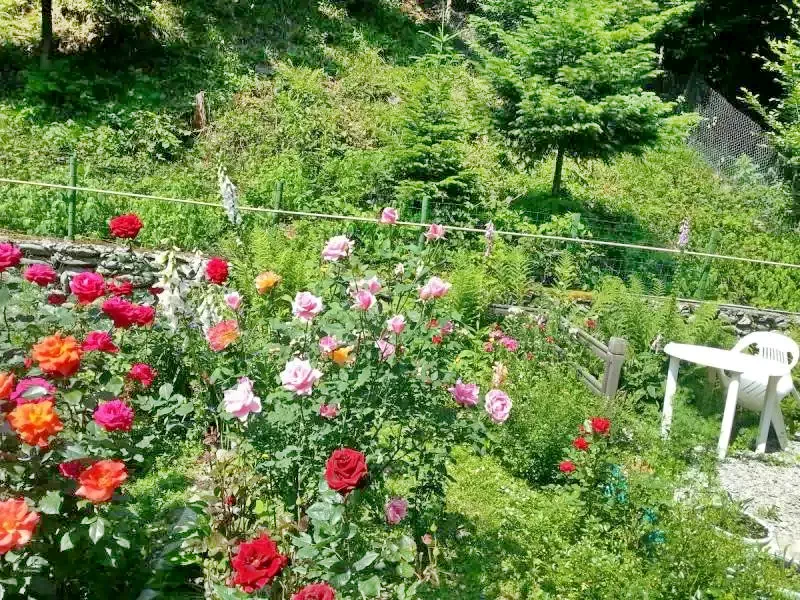 Cârțișoara Cazare | Motel (K0459-15) Imaginea poate fi supusă drepturilor de autor. Se recomandă contactarea titularului drepturilor.