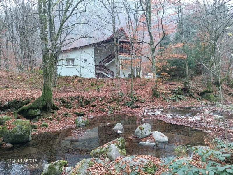 Valea Boga Cazare | Cabană (K0773-22) Imaginea poate fi supusă drepturilor de autor. Se recomandă contactarea titularului drepturilor.