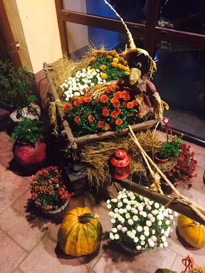 Horezu Cazare | Pensiune turistică (K1490-42) Imaginea poate fi supusă drepturilor de autor. Se recomandă contactarea titularului drepturilor.