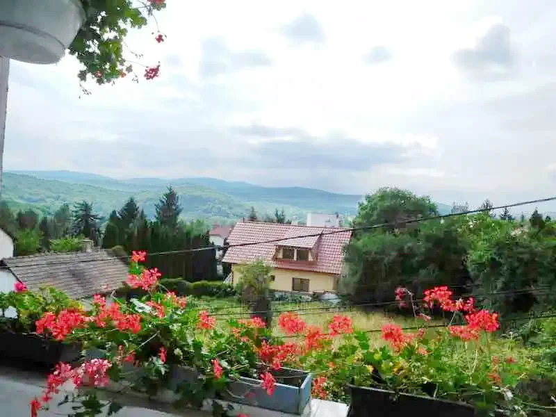 Mișcolț Cazare | Hotel**** (K0875-23) Imaginea poate fi supusă drepturilor de autor. Se recomandă contactarea titularului drepturilor.