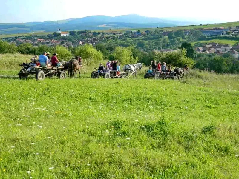 Cazare Lupeni - Pensiunea Gyöngyvirág*** | Farkaslaka - Gyöngyvirág Panzió***. Imaginea poate fi supusă drepturilor de autor. Se recomandă contactarea titularului drepturilor.