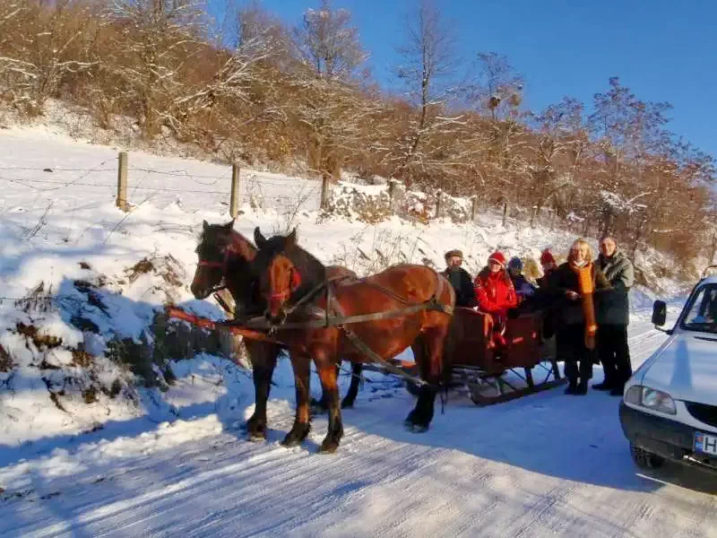 Cazare Păuleni - Casa de  vacanță Berze*** | Székelypálfalva - Berze Vendégház. Imaginea poate fi supusă drepturilor de autor. Se recomandă contactarea titularului drepturilor.