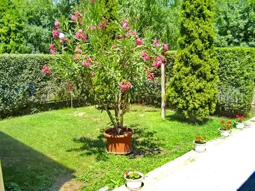  Cazare | Sat de vacanță (K0670-4) Imaginea poate fi supusă drepturilor de autor. Se recomandă contactarea titularului drepturilor.