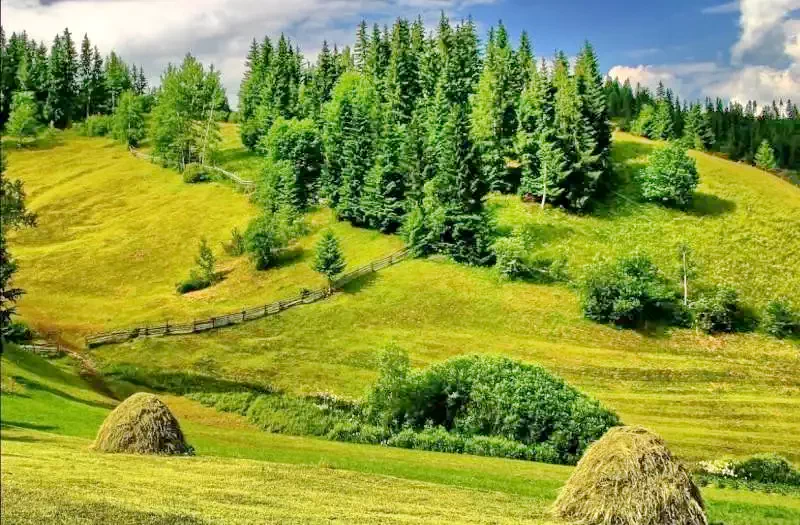 Lunca de Jos Cazare | Vilă turistică (K1111-29) Imaginea poate fi supusă drepturilor de autor. Se recomandă contactarea titularului drepturilor.