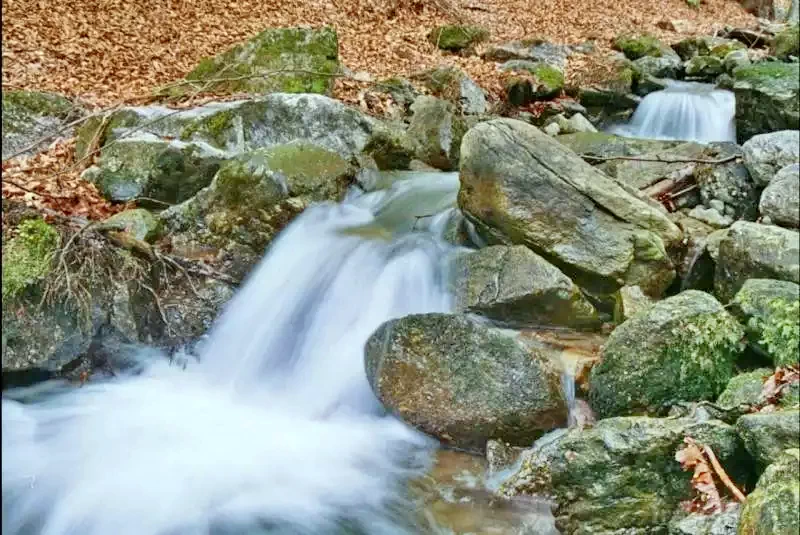 Lunca de Jos Cazare | Vilă turistică (K1111-32) Imaginea poate fi supusă drepturilor de autor. Se recomandă contactarea titularului drepturilor.