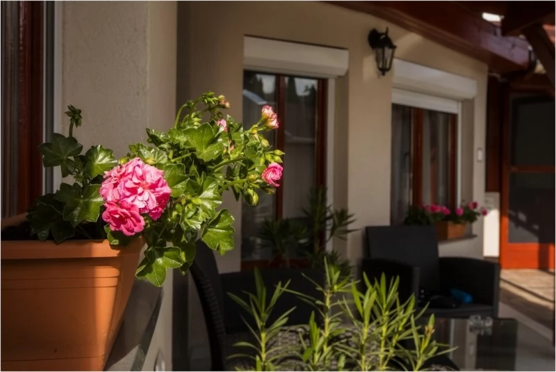  Cazare | Motel (K0690-43) Imaginea poate fi supusă drepturilor de autor. Se recomandă contactarea titularului drepturilor.