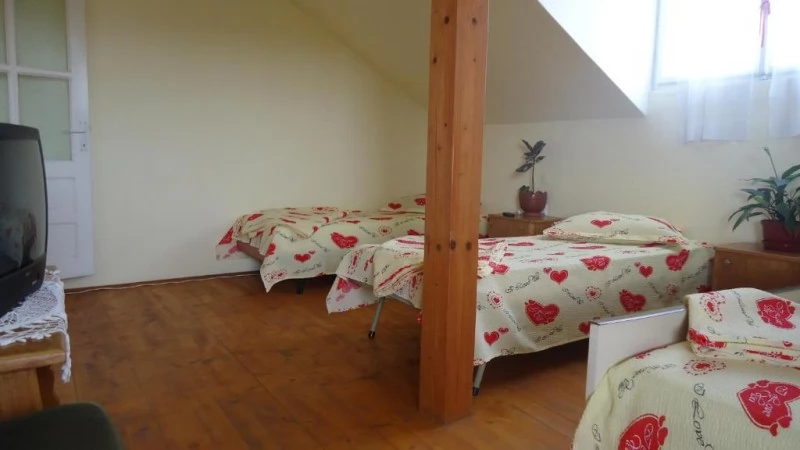 Turda Cazare | Vilă turistică (K0026-9) Imaginea poate fi supusă drepturilor de autor. Se recomandă contactarea titularului drepturilor.