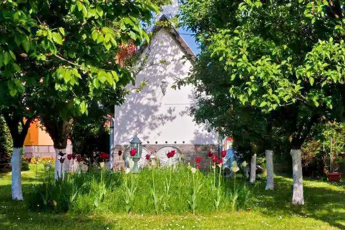 Szállás Bixad - Pensiunea Sólyomkő*** | Sepsibükszád - Sólyomkő Panzió***. A kép szerzői jogvédelem alatt állhat. Javasolt a kapcsolatfelvétel a jog tulajdonossal.