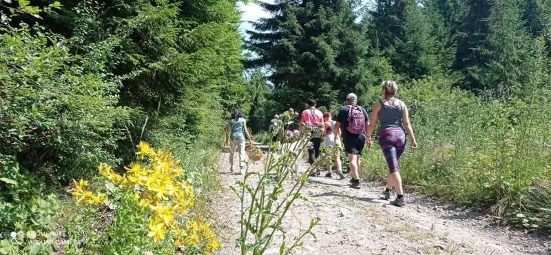 Székelyvarság Szállás | Kulcsosház (K1524-39) A kép szerzői jogvédelem alatt állhat. Javasolt a kapcsolatfelvétel a jog tulajdonossal.