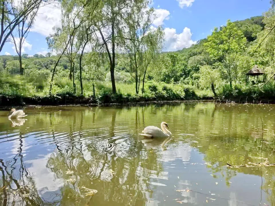 Sighișoara Cazare | Căsuțe tip camping (K1269-40) Imaginea poate fi supusă drepturilor de autor. Se recomandă contactarea titularului drepturilor.