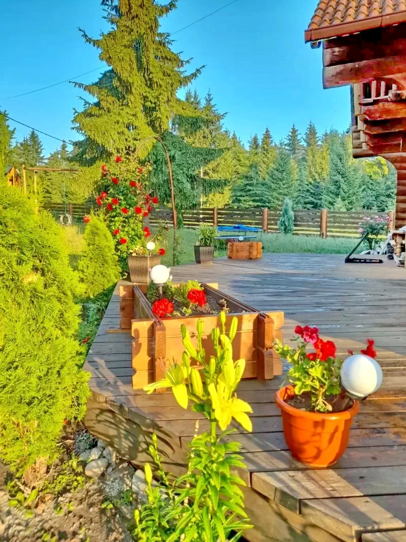 Mădăraș Cazare | Sat de vacanță (K1415-10) Imaginea poate fi supusă drepturilor de autor. Se recomandă contactarea titularului drepturilor.