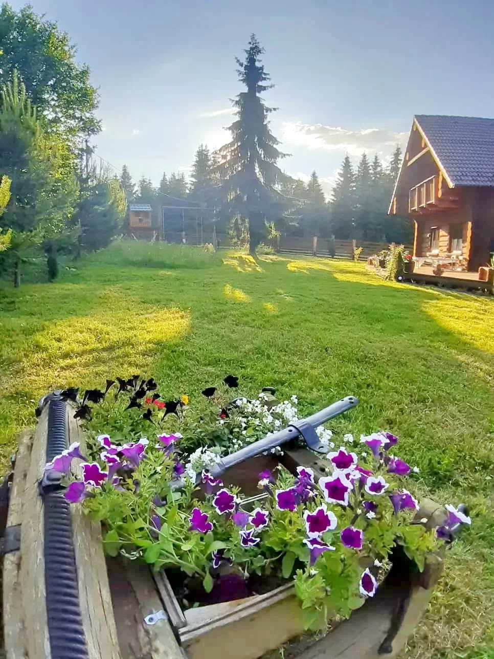 Mădăraș Cazare | Sat de vacanță (K1415-29) Imaginea poate fi supusă drepturilor de autor. Se recomandă contactarea titularului drepturilor.