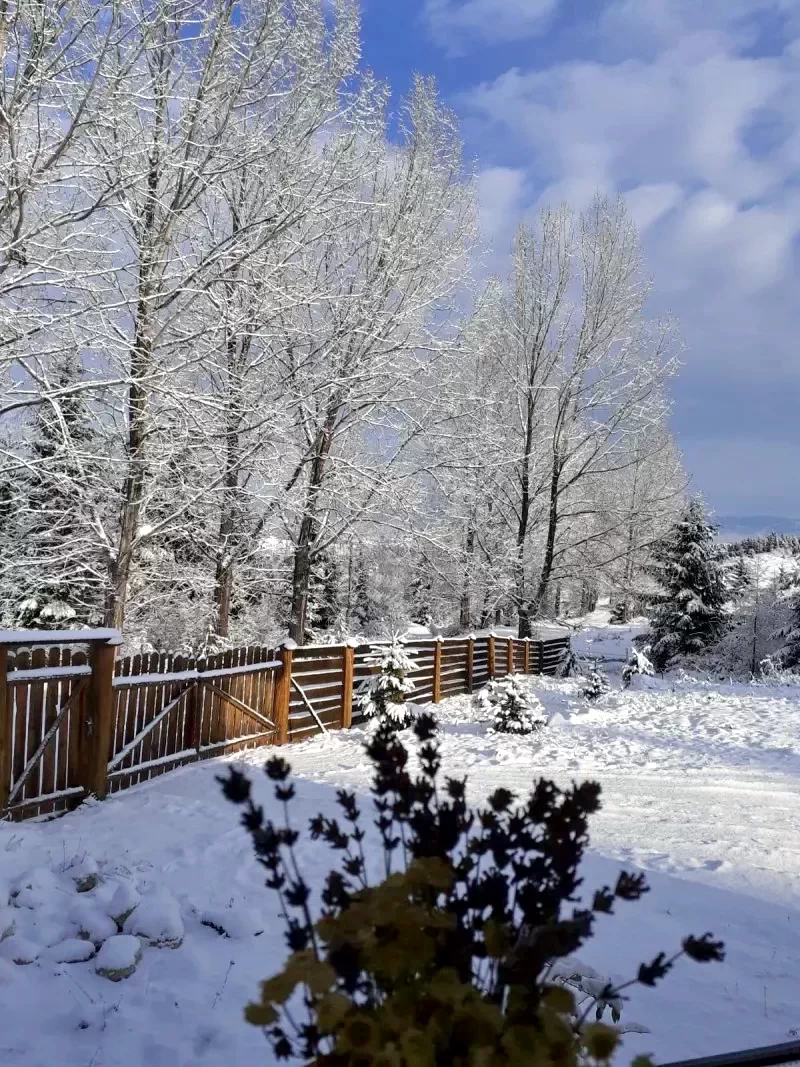 Csíkmadaras Szállás | Üdülőfalu (K1415-36) A kép szerzői jogvédelem alatt állhat. Javasolt a kapcsolatfelvétel a jog tulajdonossal.