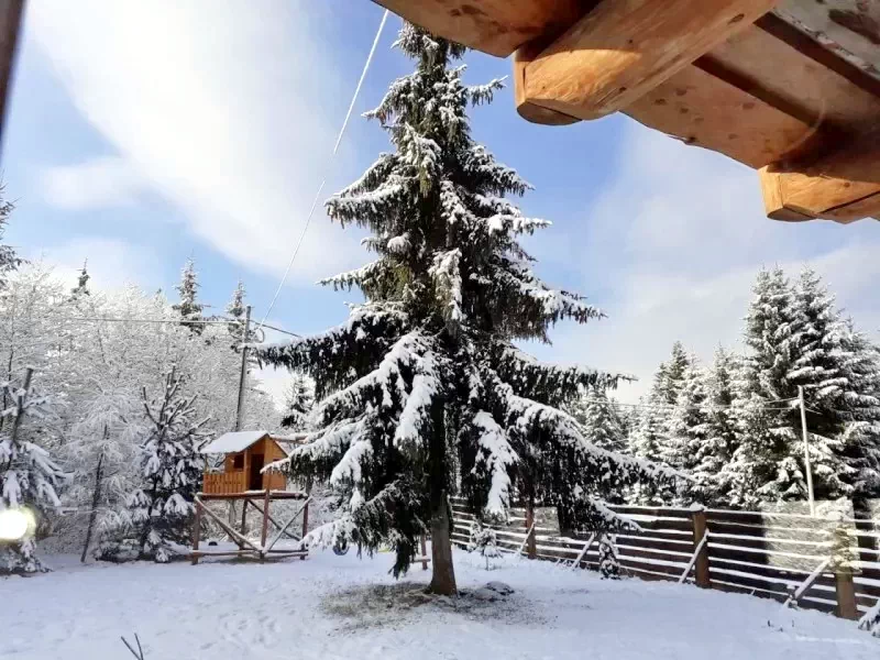 Mădăraș Cazare | Sat de vacanță (K1415-37) Imaginea poate fi supusă drepturilor de autor. Se recomandă contactarea titularului drepturilor.