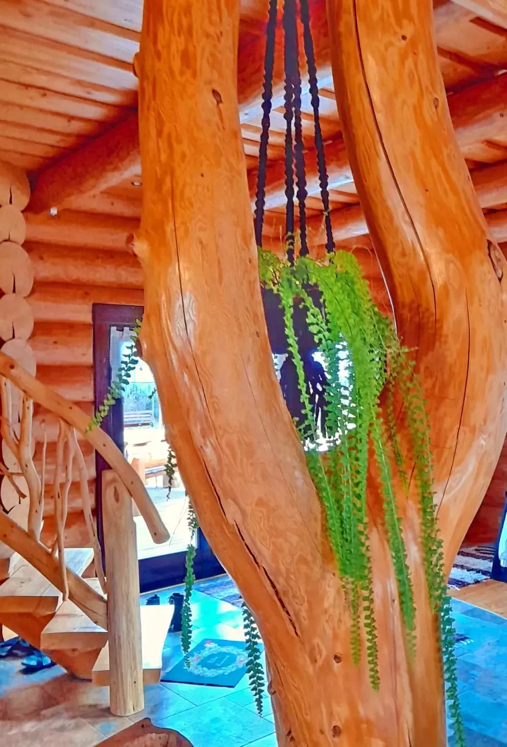 Mădăraș Cazare | Sat de vacanță (K1415-41) Imaginea poate fi supusă drepturilor de autor. Se recomandă contactarea titularului drepturilor.