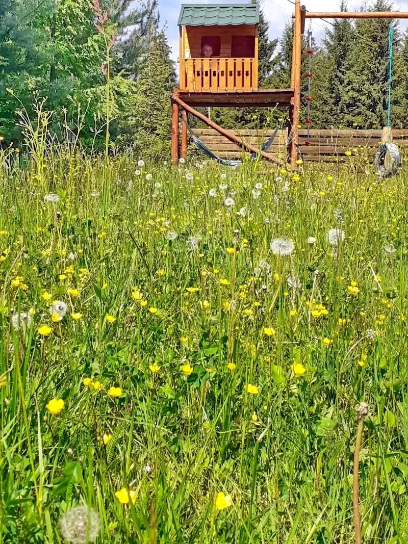 Mădăraș Cazare | Sat de vacanță (K1415-56) Imaginea poate fi supusă drepturilor de autor. Se recomandă contactarea titularului drepturilor.