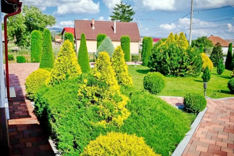 Maroshévíz Szállás | Üdülőfalu (K0224-11) A kép szerzői jogvédelem alatt állhat. Javasolt a kapcsolatfelvétel a jog tulajdonossal.