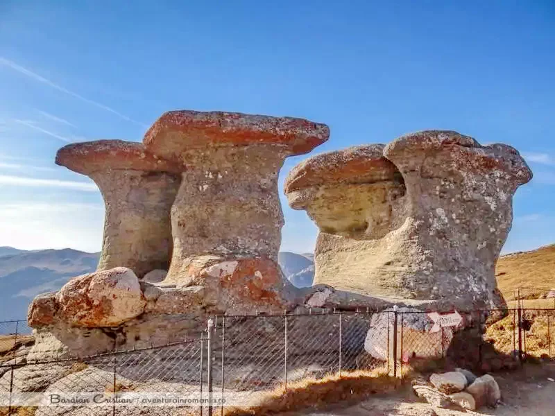 Törcsvár Szállás | Turisztikai panzió (K0692-37) A kép szerzői jogvédelem alatt állhat. Javasolt a kapcsolatfelvétel a jog tulajdonossal.