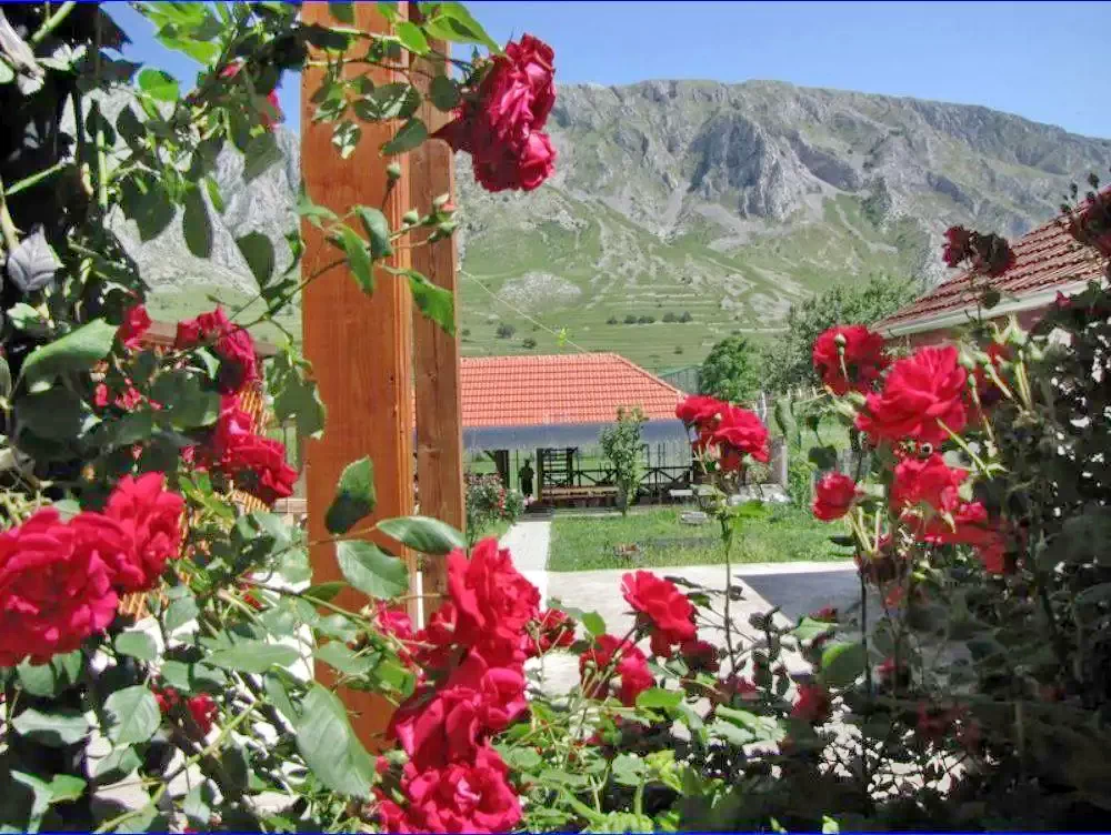 Torockó Szállás | Hotel**** (K1089-22) A kép szerzői jogvédelem alatt állhat. Javasolt a kapcsolatfelvétel a jog tulajdonossal.