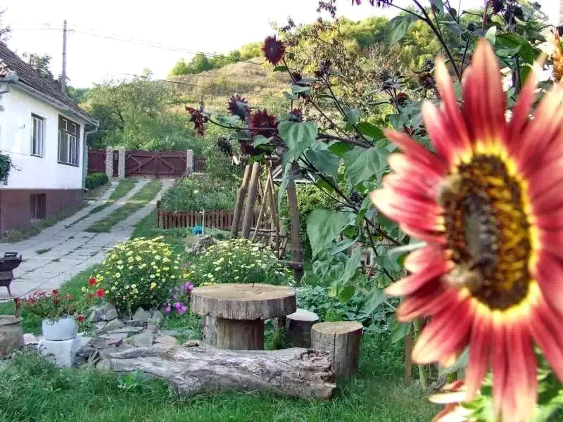 Mugeni Cazare | Motel (K0634-11) Imaginea poate fi supusă drepturilor de autor. Se recomandă contactarea titularului drepturilor.