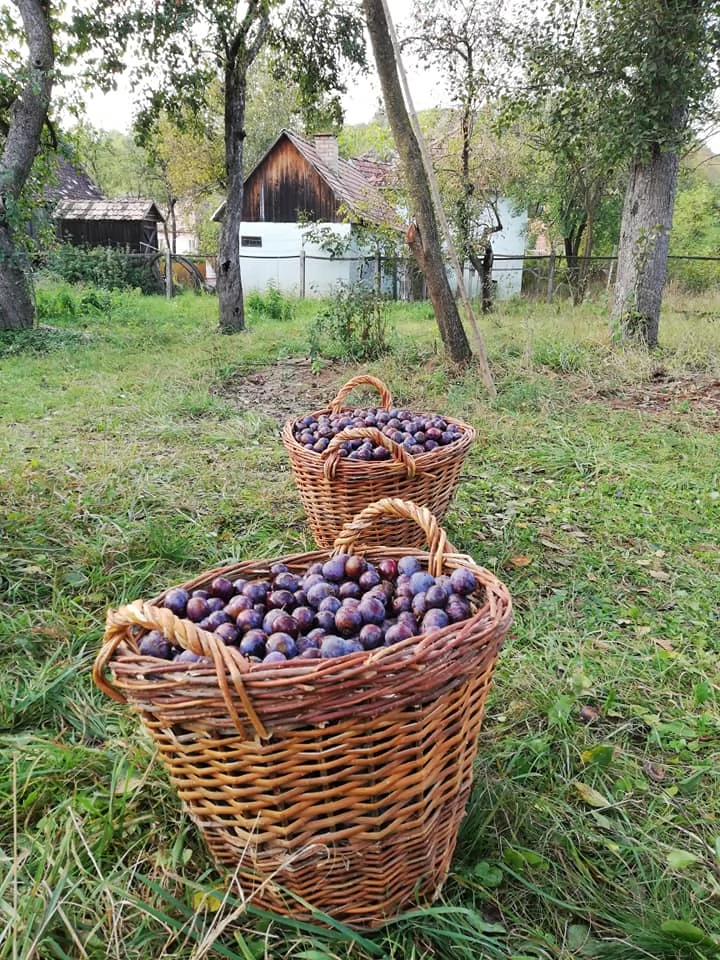 Mugeni Cazare | Motel (K0634-33) Imaginea poate fi supusă drepturilor de autor. Se recomandă contactarea titularului drepturilor.