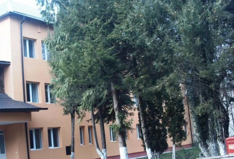 Ocna Șugatag Cazare | Pensiune turistică (K1535-29) Imaginea poate fi supusă drepturilor de autor. Se recomandă contactarea titularului drepturilor.