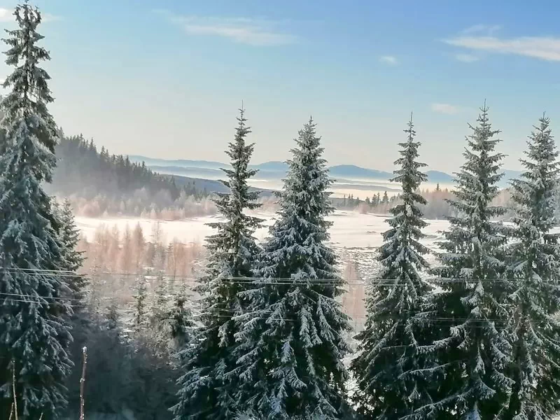 Hargitafürdő Szállás | Bungalow (K1422-6) A kép szerzői jogvédelem alatt állhat. Javasolt a kapcsolatfelvétel a jog tulajdonossal.