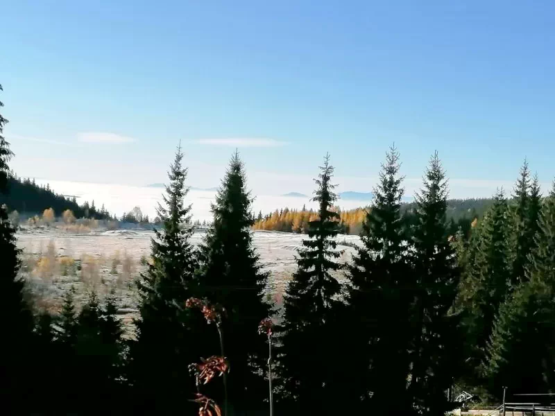 Harghita-Băi Cazare | Bungalow (K1422-18) Imaginea poate fi supusă drepturilor de autor. Se recomandă contactarea titularului drepturilor.