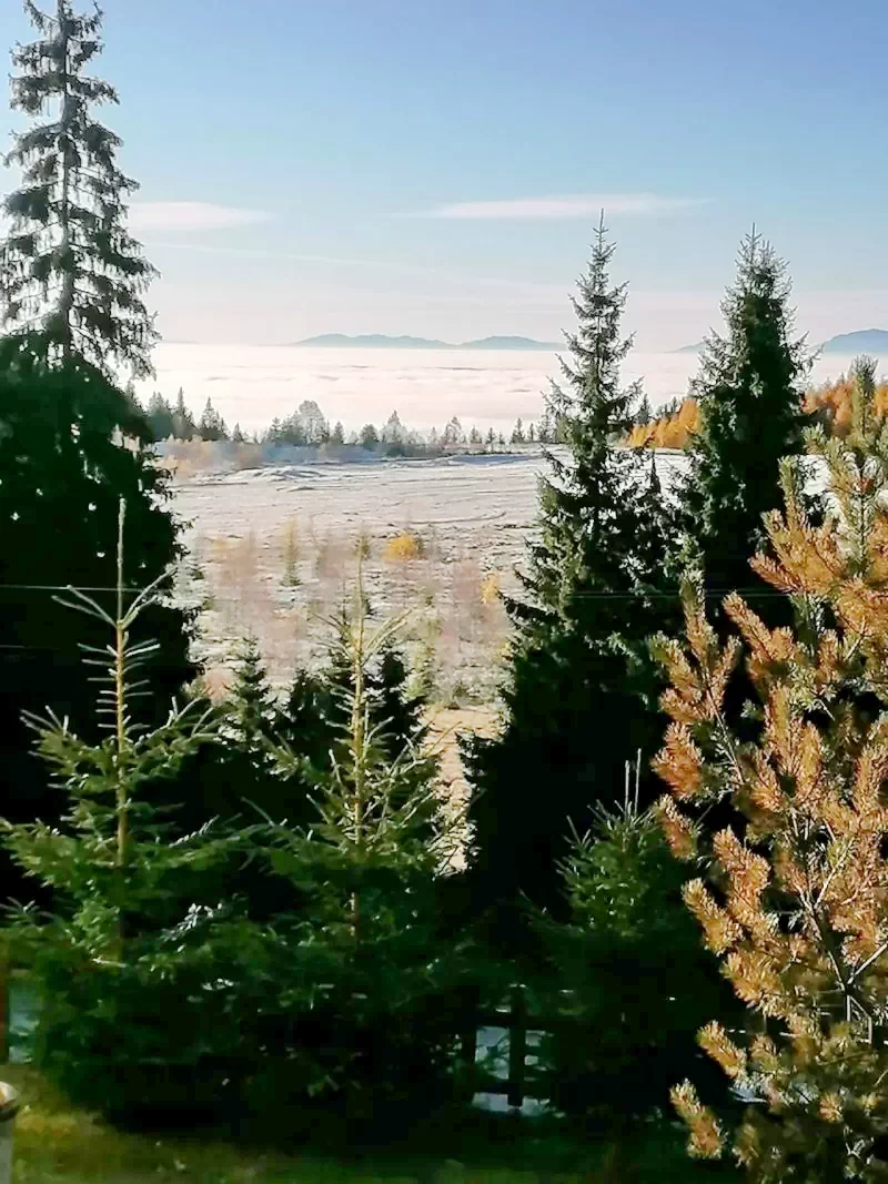 Harghita-Băi Cazare | Bungalow (K1422-22) Imaginea poate fi supusă drepturilor de autor. Se recomandă contactarea titularului drepturilor.