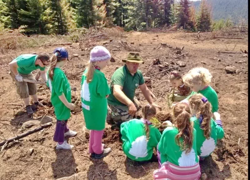 Hargitafürdő Szállás | Bungalow (K1422-29) A kép szerzői jogvédelem alatt állhat. Javasolt a kapcsolatfelvétel a jog tulajdonossal.