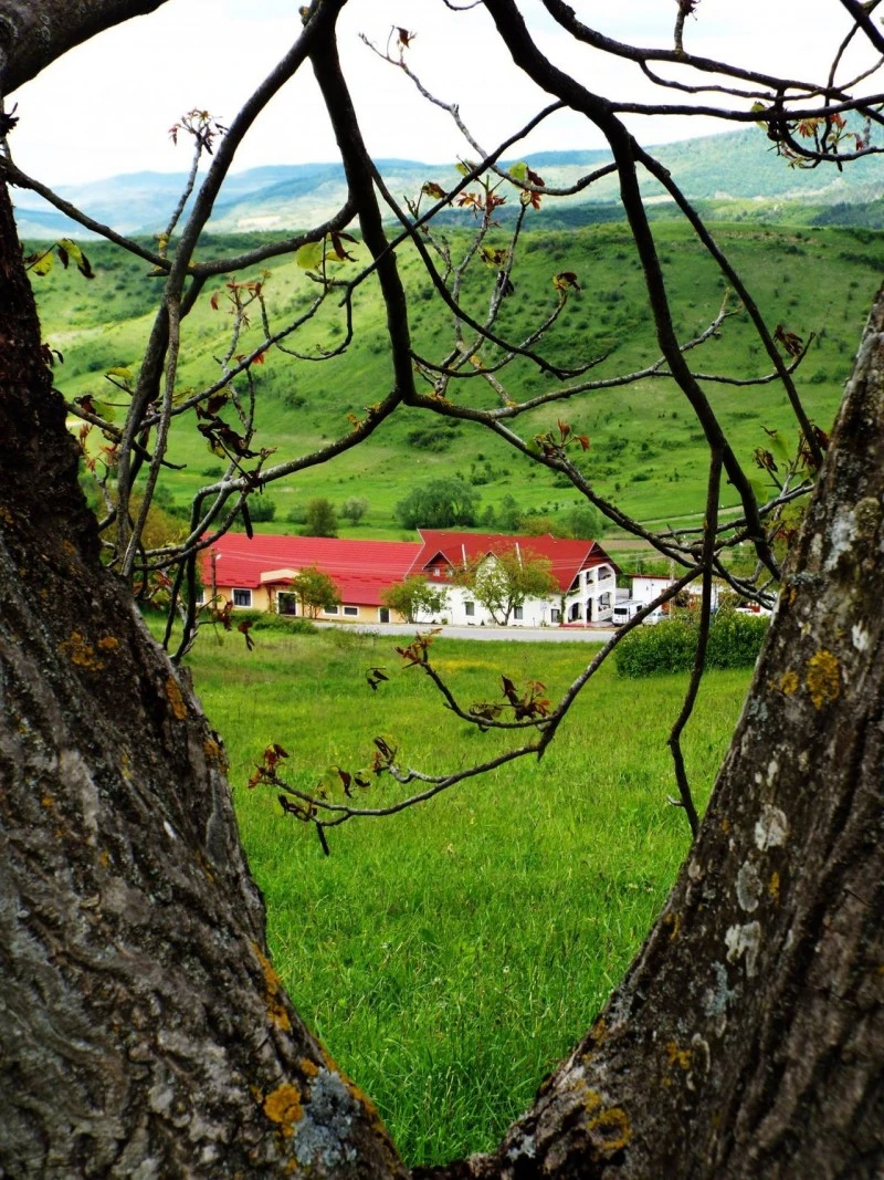 Szék Szállás | Motel (K1537-1) A kép szerzői jogvédelem alatt állhat. Javasolt a kapcsolatfelvétel a jog tulajdonossal.