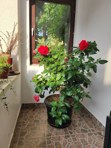 Szék Szállás | Motel (K1537-47) A kép szerzői jogvédelem alatt állhat. Javasolt a kapcsolatfelvétel a jog tulajdonossal.