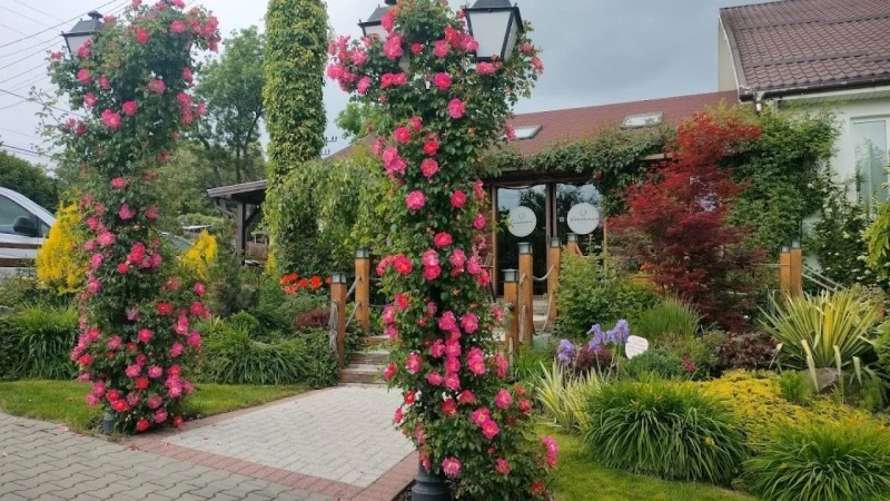 Szászrégen Szállás | Motel (K1541-57) A kép szerzői jogvédelem alatt állhat. Javasolt a kapcsolatfelvétel a jog tulajdonossal.