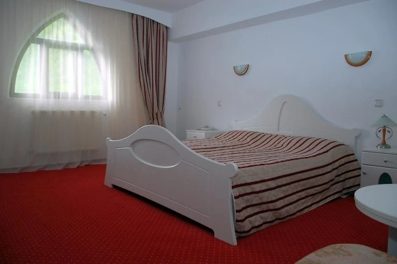 Reghin Cazare | Hotel*** (K0032-55) Imaginea poate fi supusă drepturilor de autor. Se recomandă contactarea titularului drepturilor.