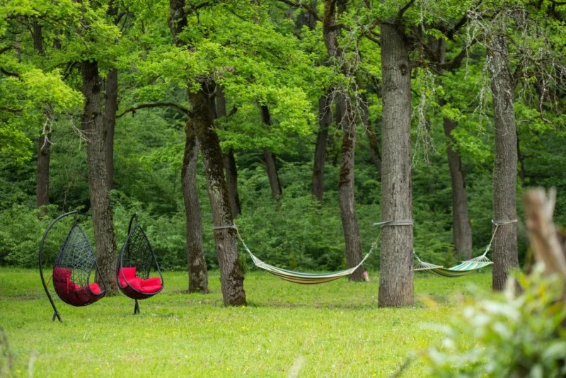 Reghin Cazare | Motel (K1544-25) Imaginea poate fi supusă drepturilor de autor. Se recomandă contactarea titularului drepturilor.